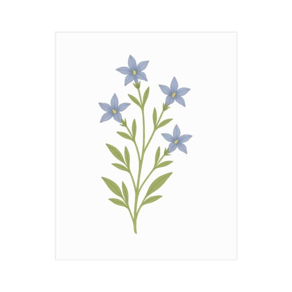 Wahlenbergia Bluebell Wall Art – Minimal Australian Wildflower Print for Botanical Home Decor - Image 3