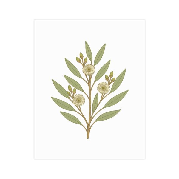 Eucalyptus Botanical Wall Art – Minimal Australian Native Flower Print for Modern Interiors - Image 2