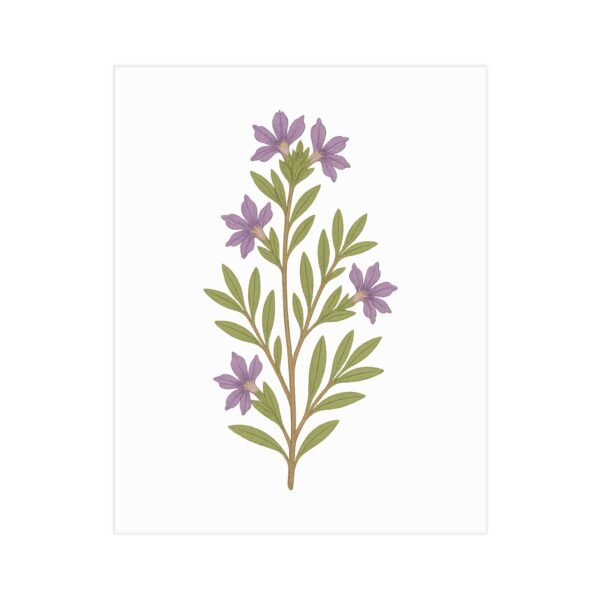Scaevola Fan Flower Wall Art – Minimal Botanical Print Featuring Australian Native Flowers - Image 3