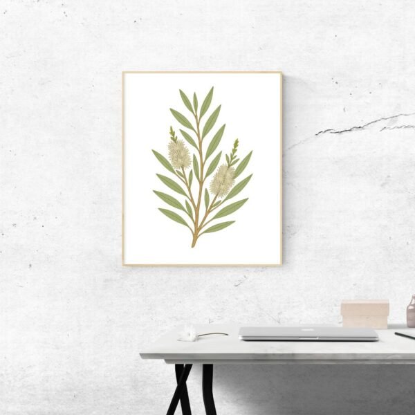 Melaleuca Botanical Wall Art – Minimalist Australian Native Flower Print for Nature-Inspired Decor