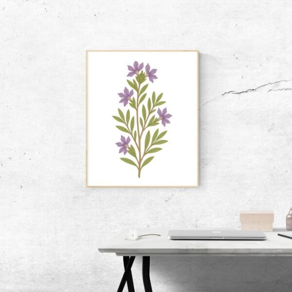 Scaevola Fan Flower Wall Art – Minimal Botanical Print Featuring Australian Native Flowers