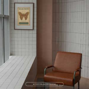 Atlas Moth Vintage Poster