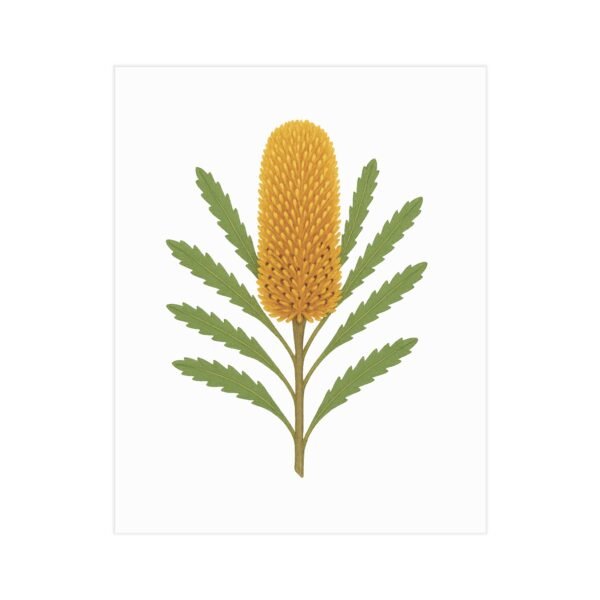 Banksia Botanical Wall Art – Bold Minimalist Australian Native Flower Print for Natural Home Decor - Image 3