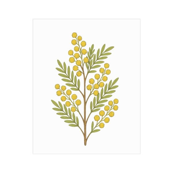 Acacia Botanical Wall Art – Minimal Yellow Wattle Print for Modern Nature Decor - Image 3
