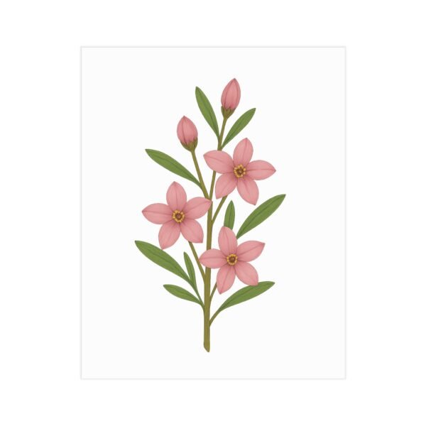 Boronia Botanical Wall Art – Minimalist Australian Native Flower Print in Soft Pink - Image 3